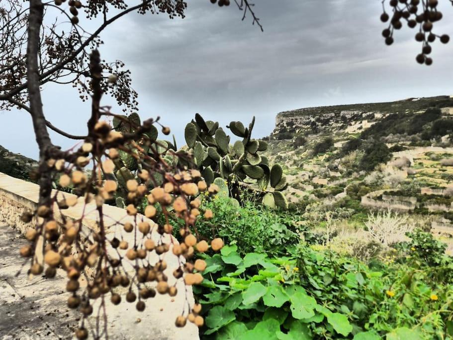 Gozo Sea And Country View *